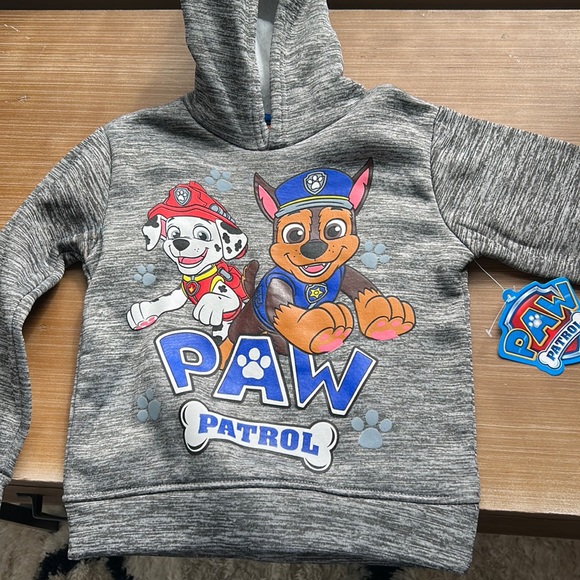 Nickelodeon Shirts & Tops Paw Patrol Hoodie Poshmark